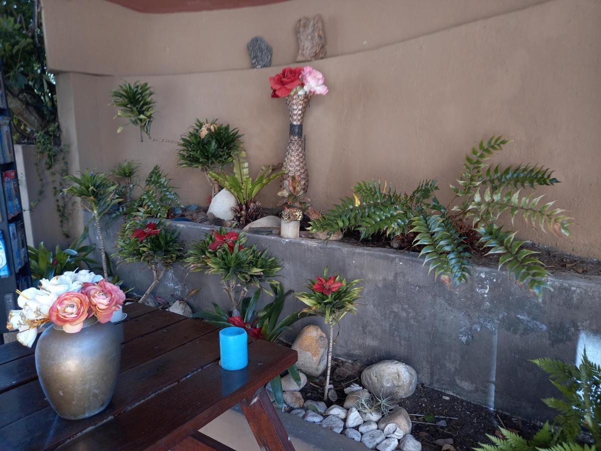 110 Bay View Apartment Brenton-on-Sea Luaran gambar